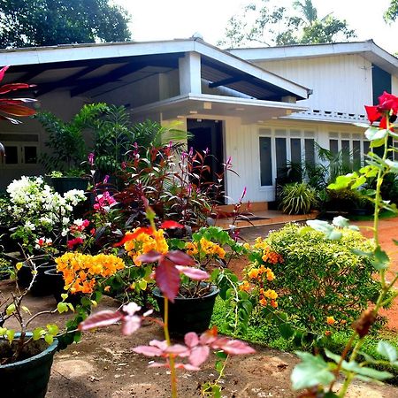 فندق Molino Tourist Rest أنرادابورام المظهر الخارجي الصورة